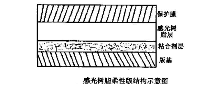  感光樹脂版的結(jié)構(gòu)示意圖